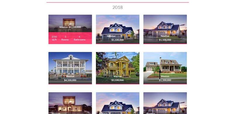 Real Estate Standard Property Website